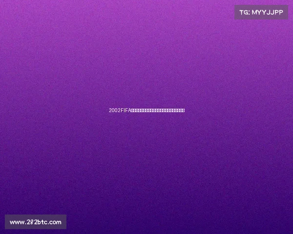 2002FIFA世界杯观战全攻略球迷必备观赛指南精彩赛事回顾